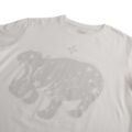 Hippopotamus